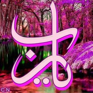 Meet your Posher, Bibo